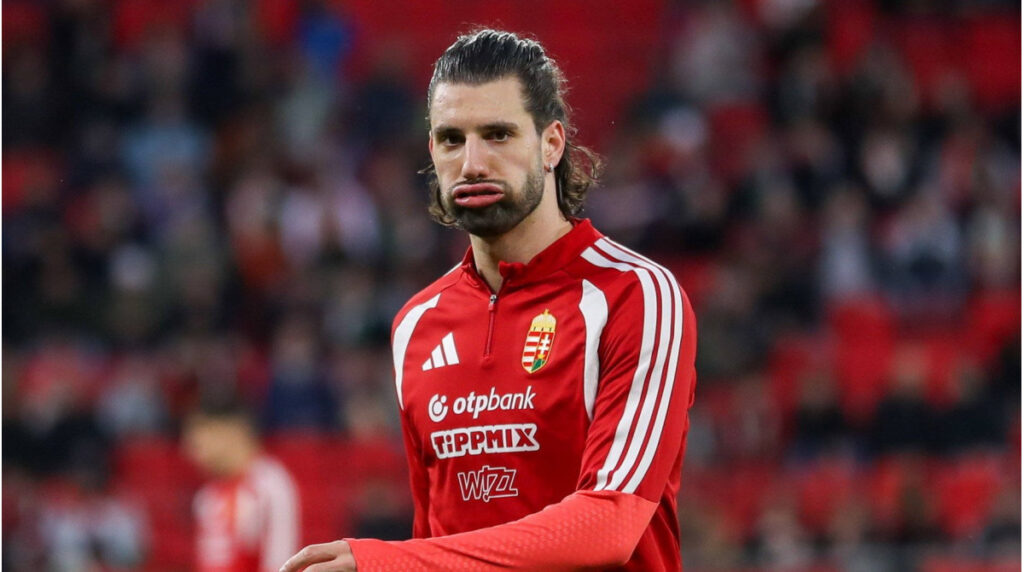 النرويج واسكتلندا وتركيا – ما هي الدول التي قطعت أطول مسافة منذ كأس العالم الأخيرة؟